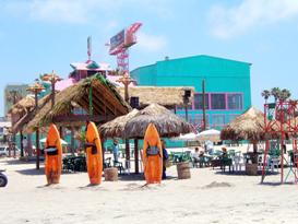 Rosarito Club Scene